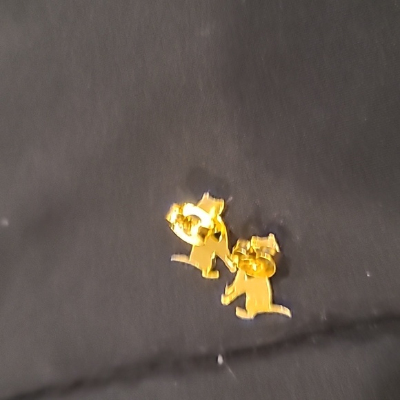 ❤️10/$40 New pitbull earrings - Picture 3 of 3